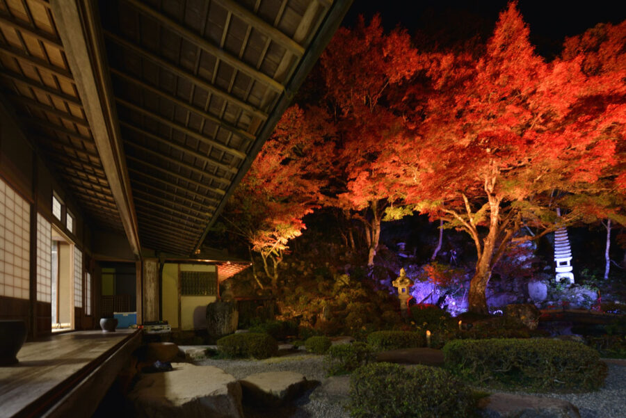 津和野 堀庭園