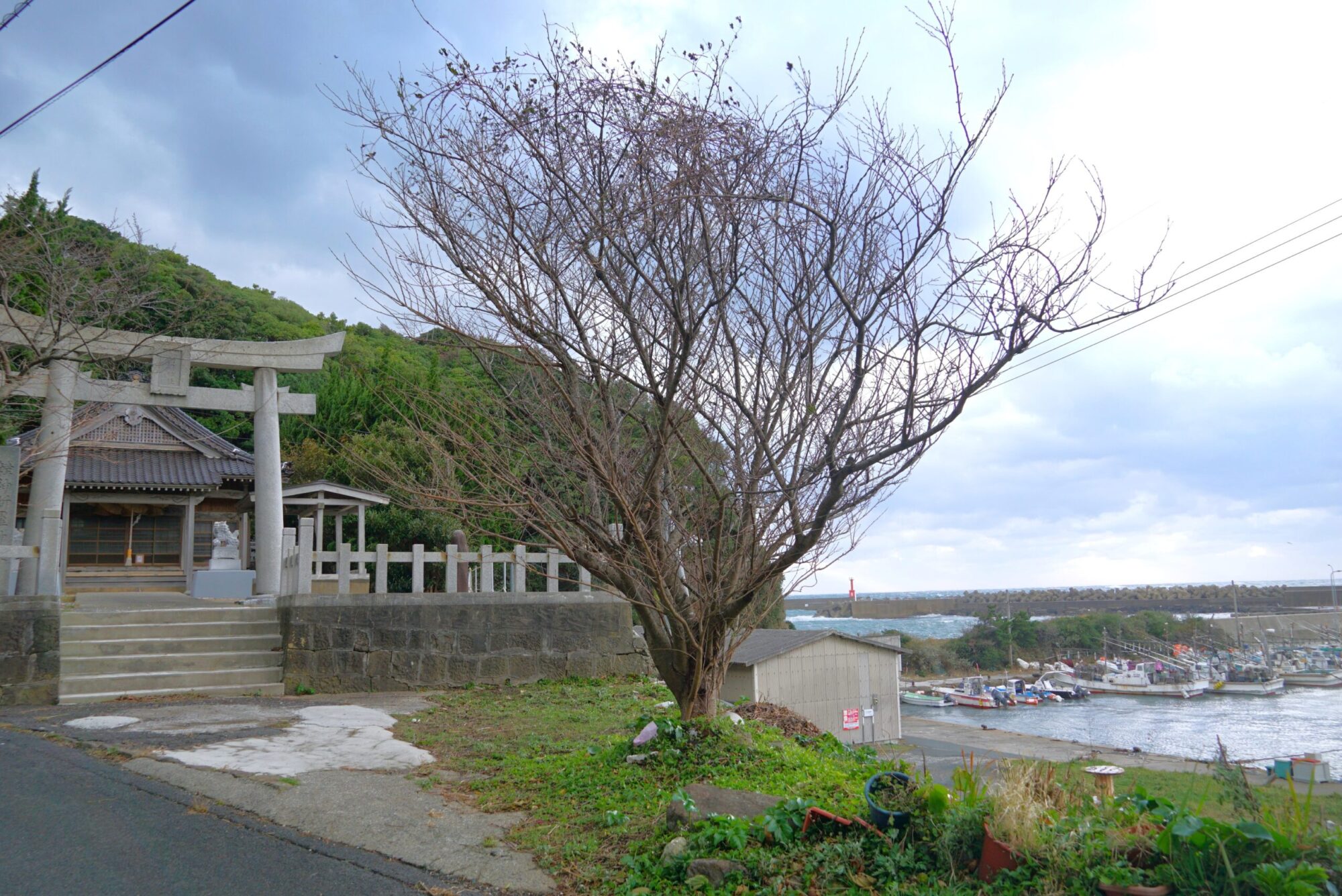 韓神新羅神社