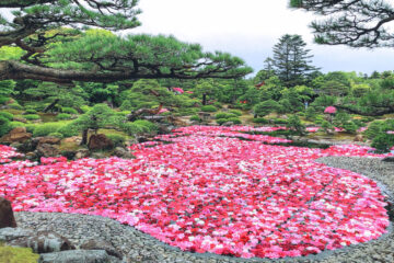 由志園