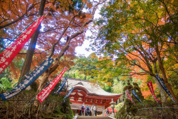 鰐淵寺