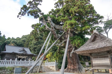 玉若酢命神社